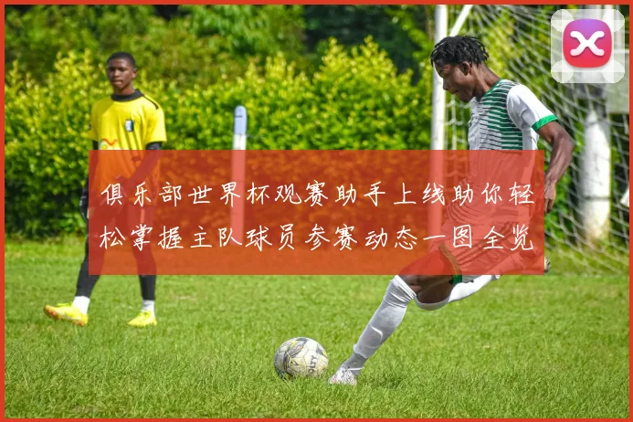 俱乐部世界杯观赛助手上线助你轻松掌握主队球员参赛动态一图全览